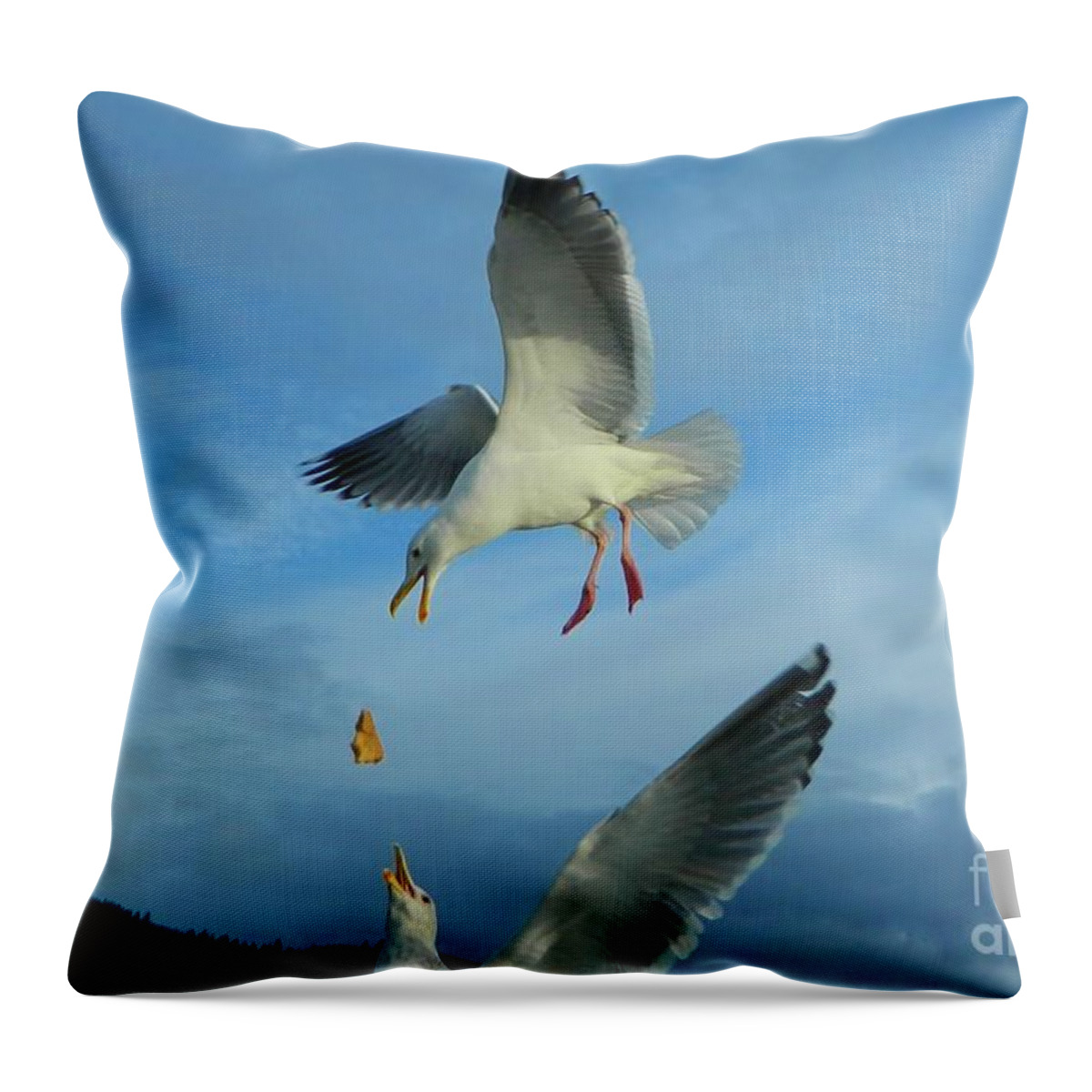 Seagulls Throw Pillow featuring the photograph Amazing by Gallery Of Hope 