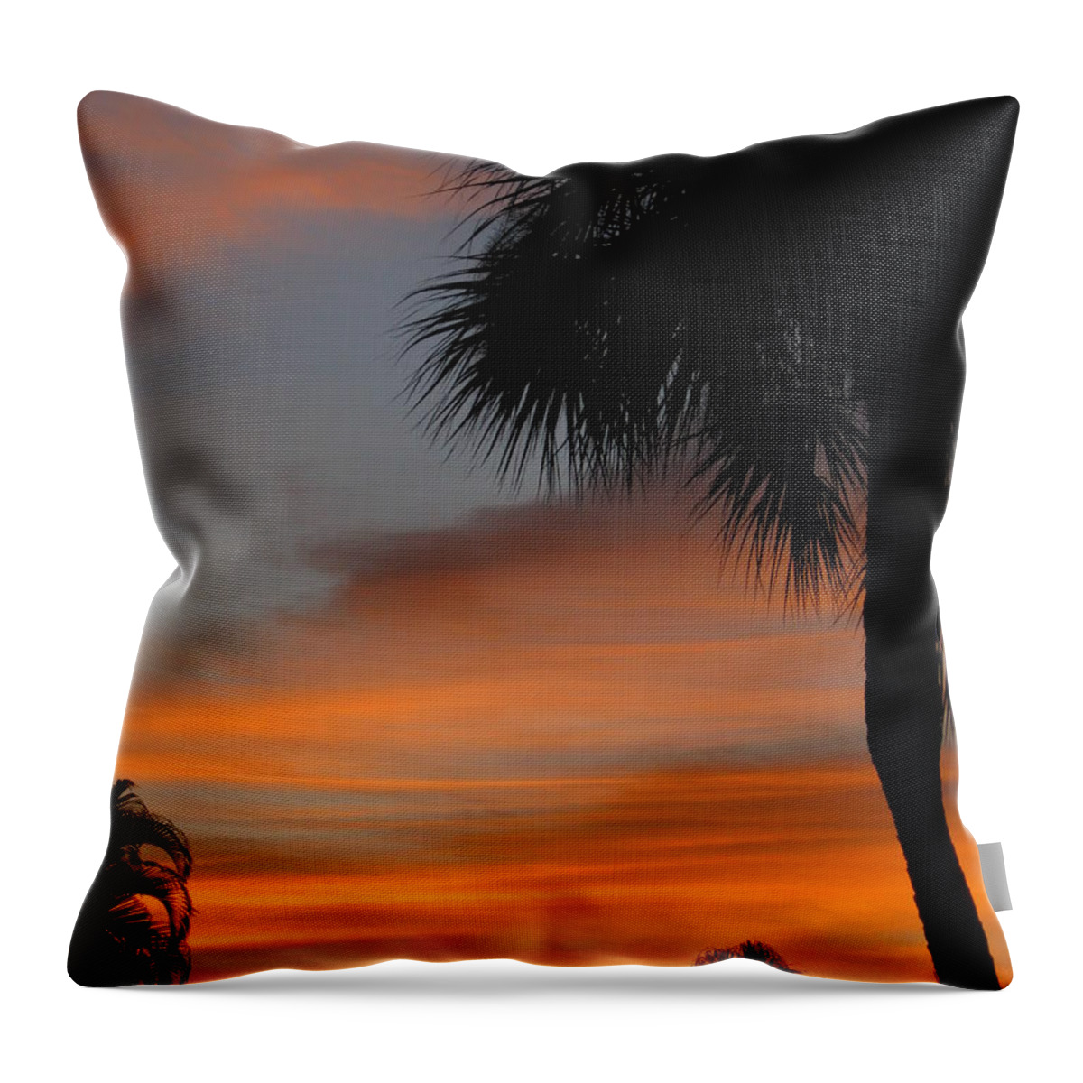 Sunrise Throw Pillow featuring the photograph Amazing Sunrise in Florida by Oksana Semenchenko