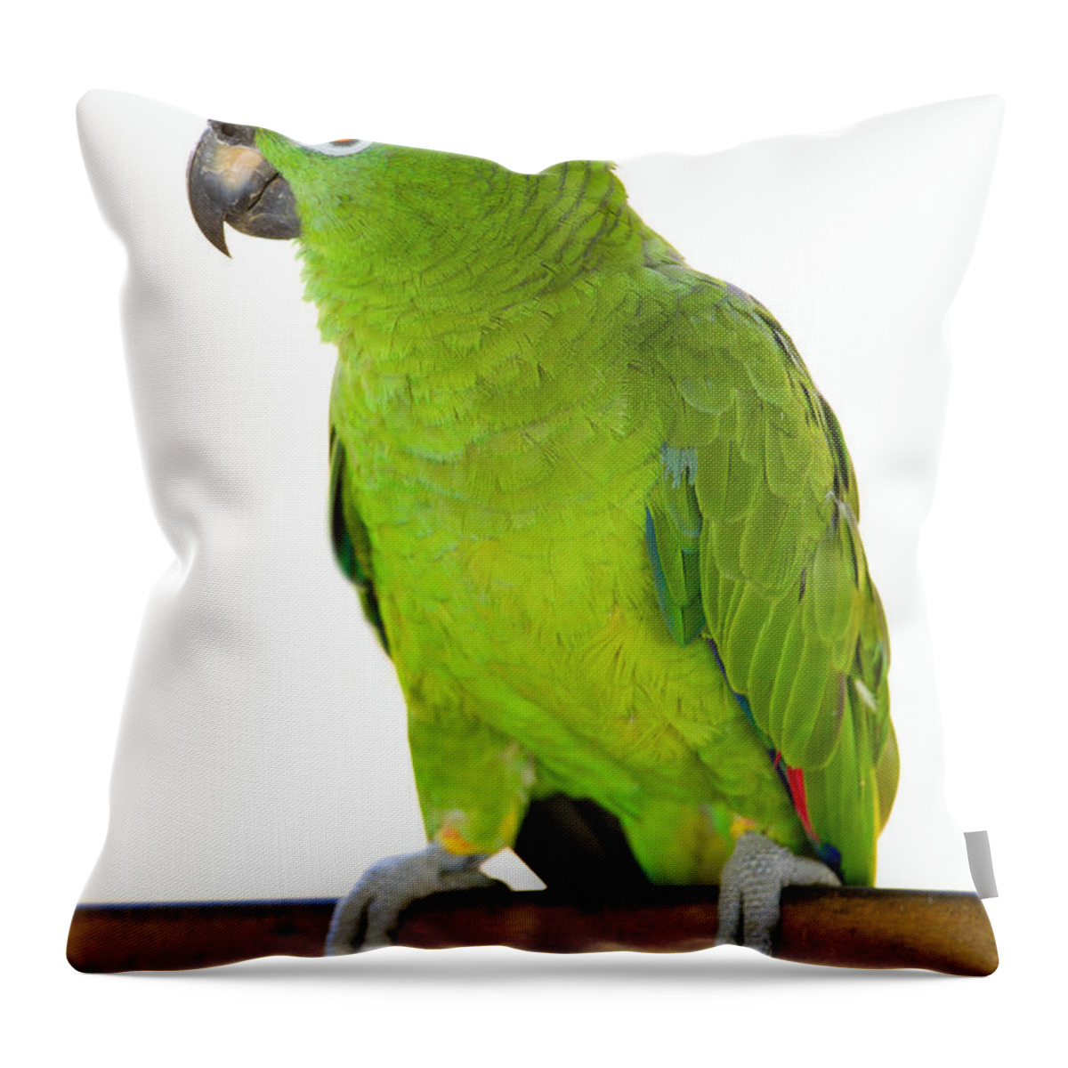 Parrot Throw Pillow featuring the photograph Amazon parrot by Alexey Stiop