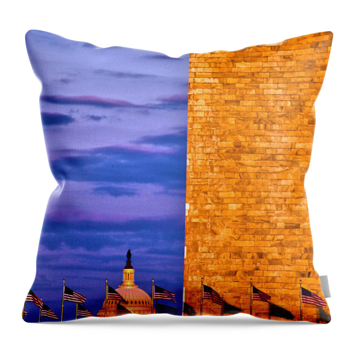 Usa Throw Pillow featuring the photograph America by Mitch Cat