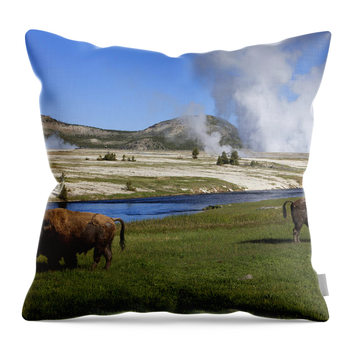 530445 Throw Pillow featuring the photograph American Bison Grazing Along Firehole by Duncan Usher