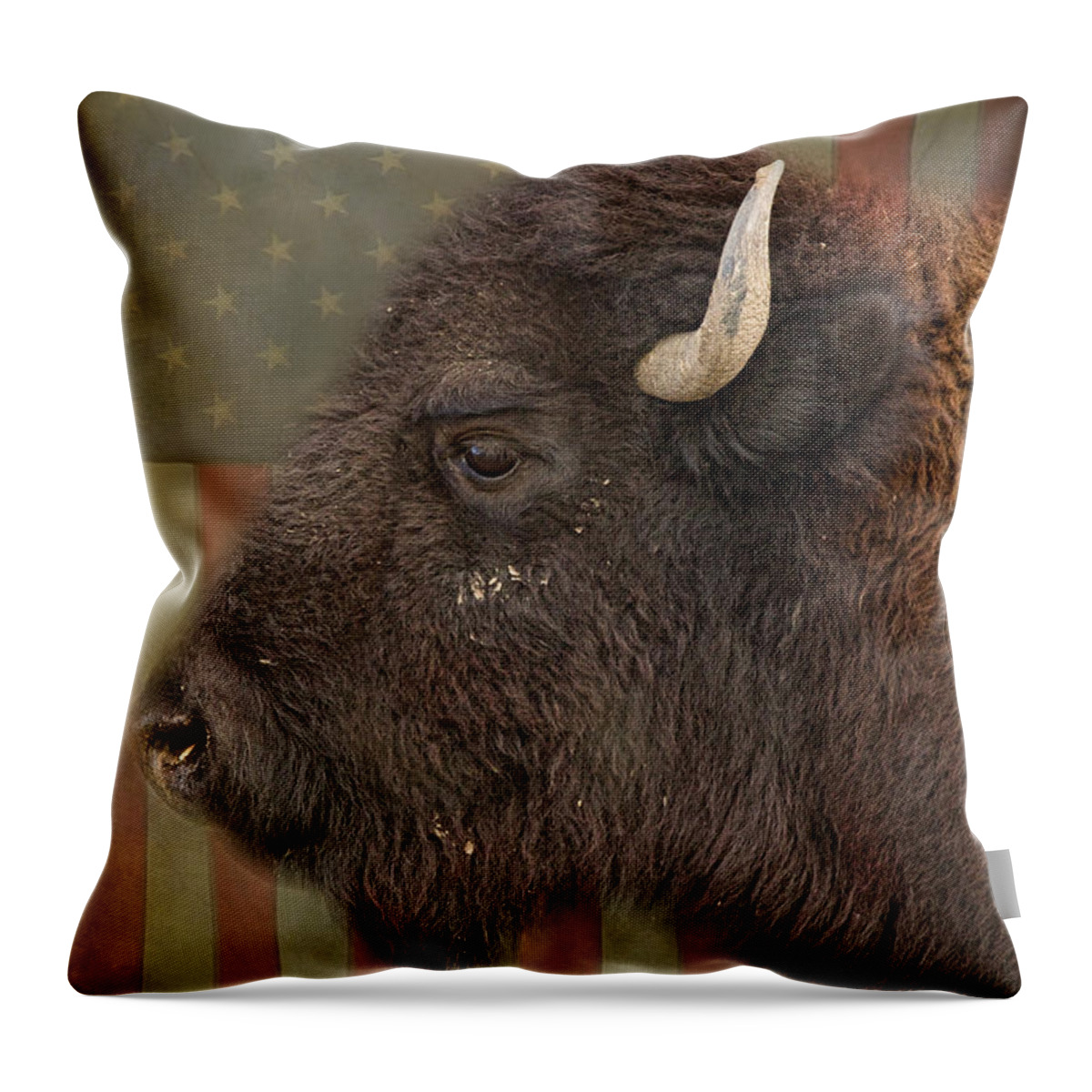 Bison Throw Pillow featuring the photograph American Bison Headshot Profile by James BO Insogna