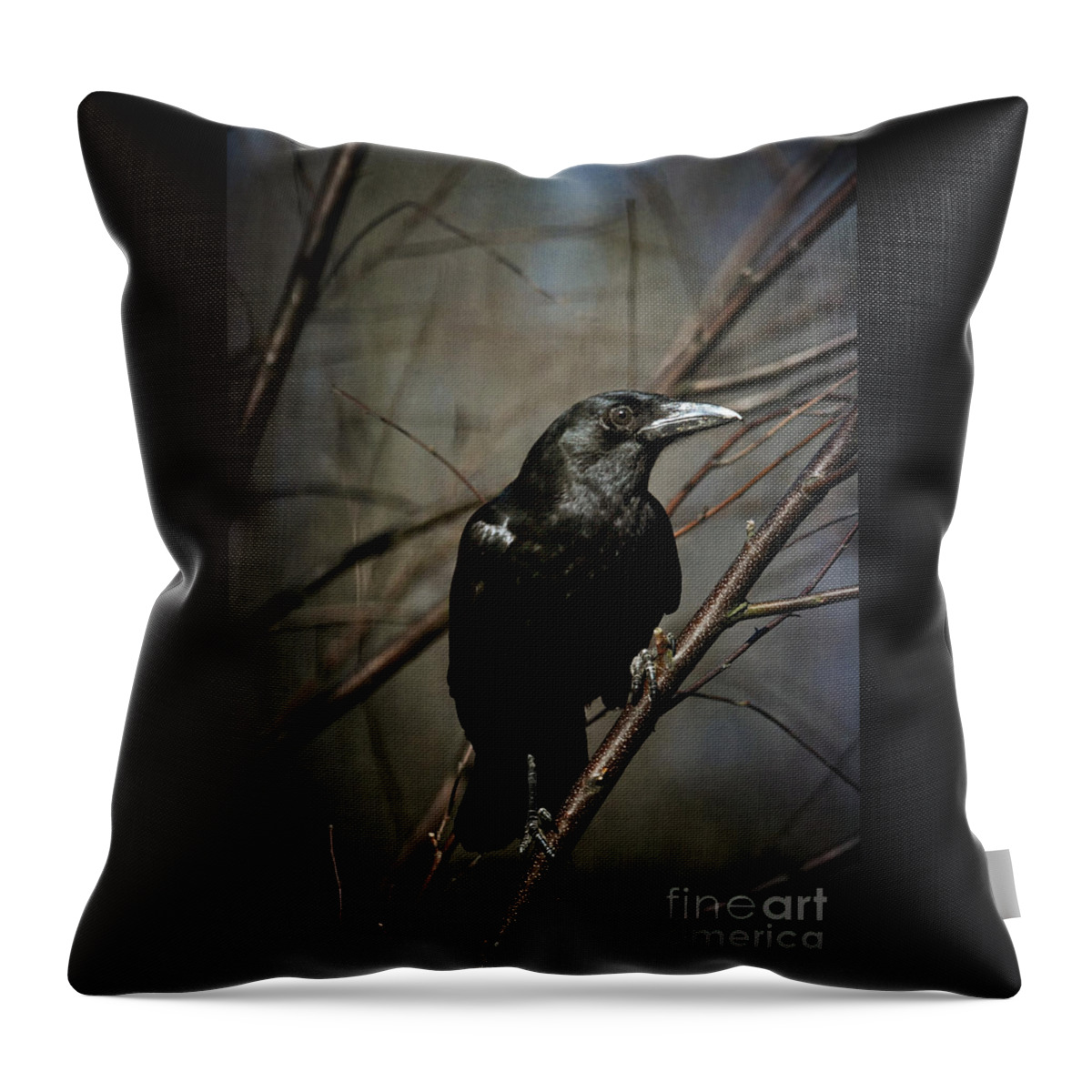 Crow Throw Pillow featuring the photograph American Crow by Lois Bryan