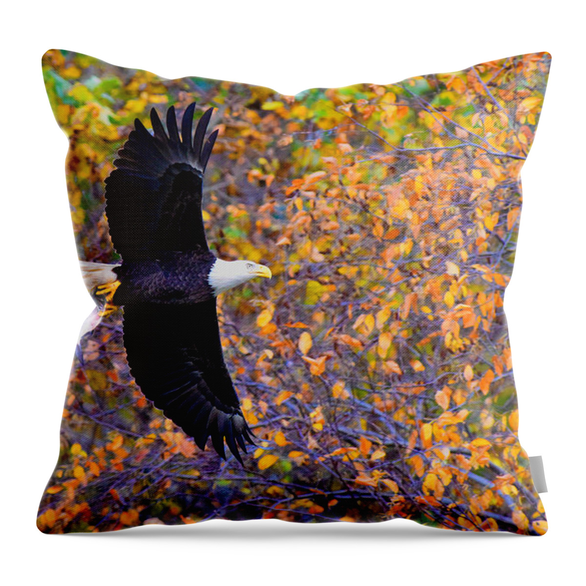 Eagle Throw Pillow featuring the photograph American Eagle in Autumn by William Jobes