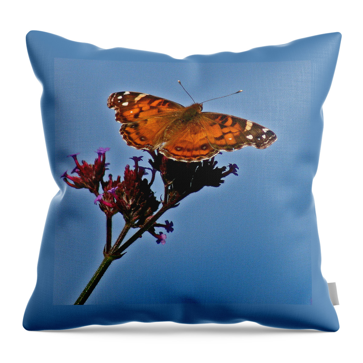 American Throw Pillow featuring the photograph American Lady Butterfly with Blue Sky by Karen Adams