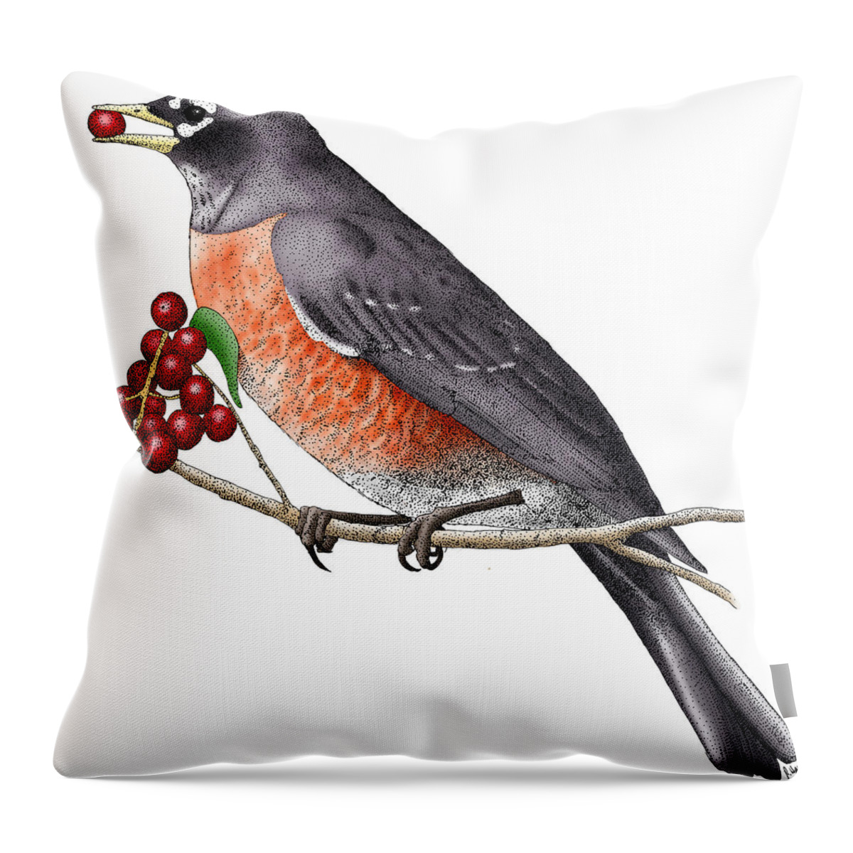 Art Throw Pillow featuring the photograph American Robin by Roger Hall