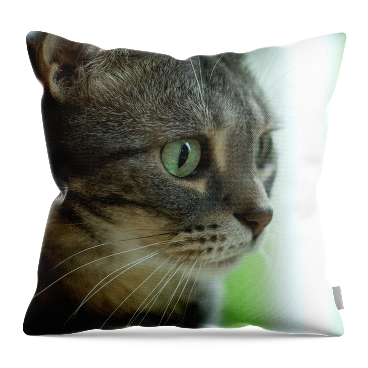Alert Throw Pillow featuring the photograph American Shorthair Cat Profile by Amy Cicconi