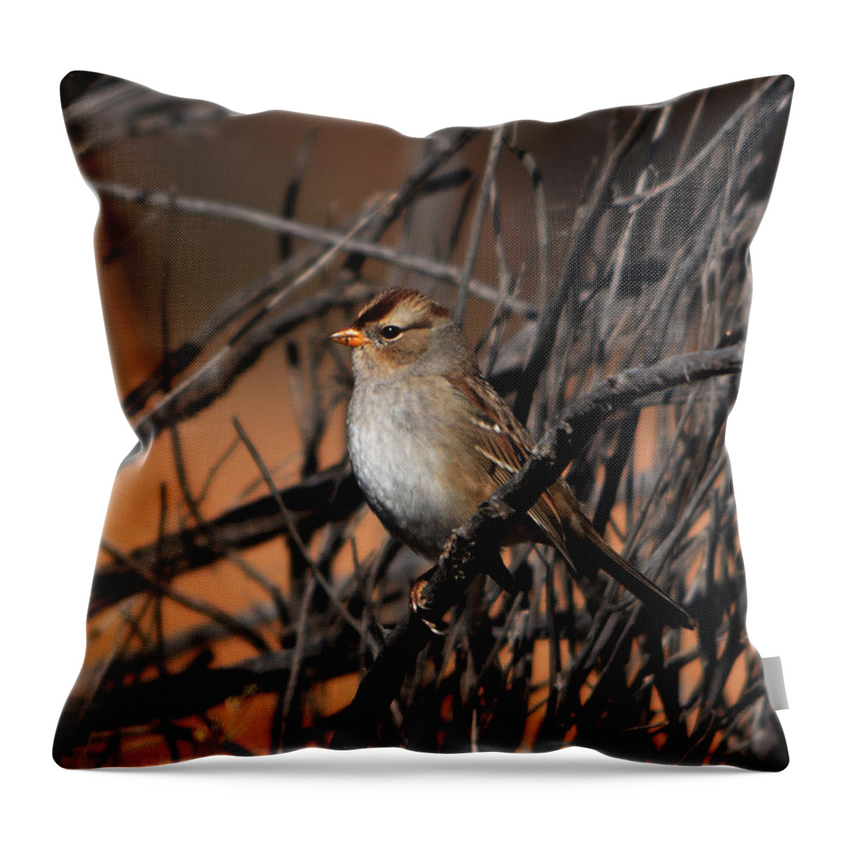 American Tree Sparrow Throw Pillow featuring the photograph American Tree Sparrow by John Greco