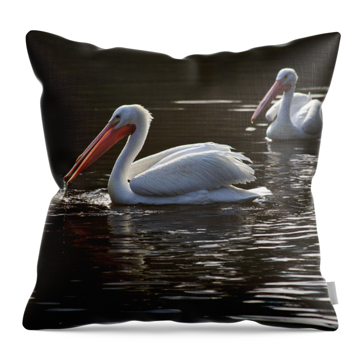 American Throw Pillow featuring the photograph American white pelicans couple by Eti Reid