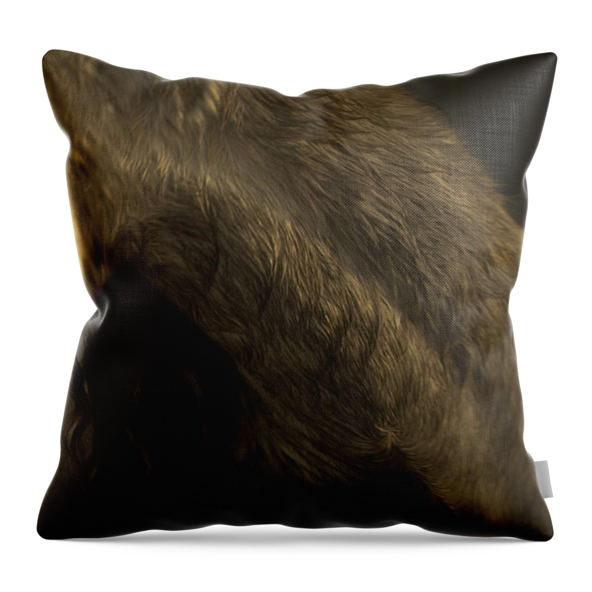 Andalusia Throw Pillow featuring the photograph Americano 5 by Catherine Sobredo