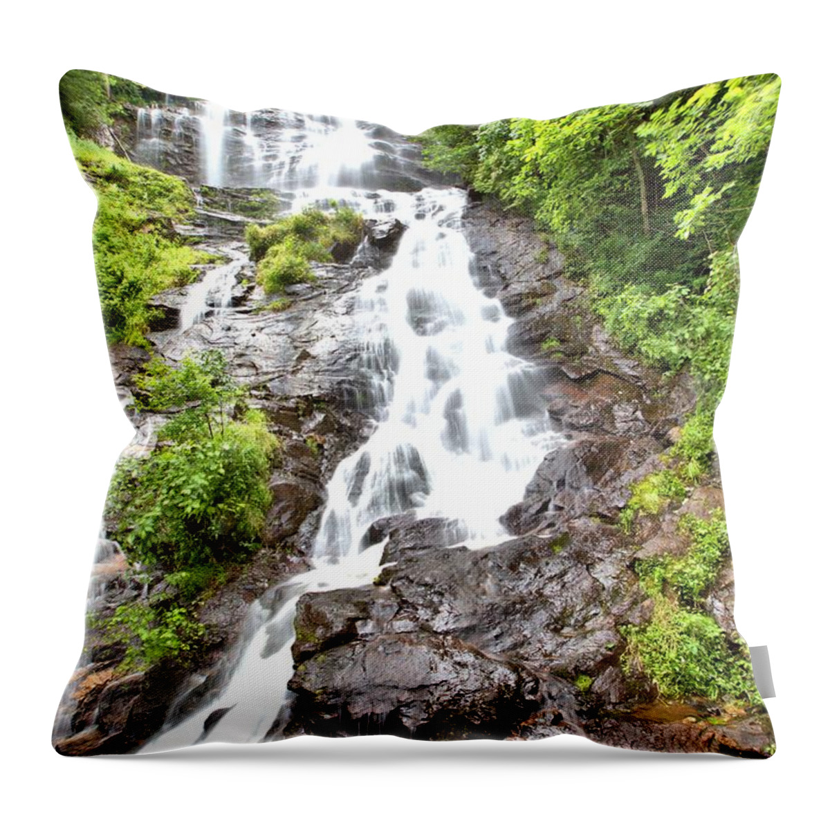 10306 Throw Pillow featuring the photograph Amicalola Falls by Gordon Elwell