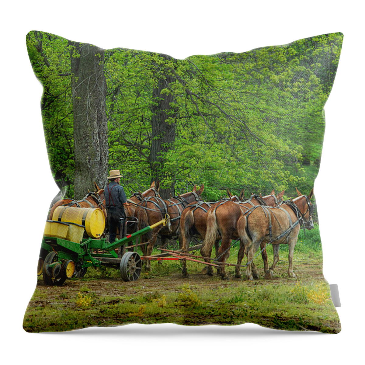 Amish Throw Pillow featuring the photograph Six Mule Team by Dyle  Warren