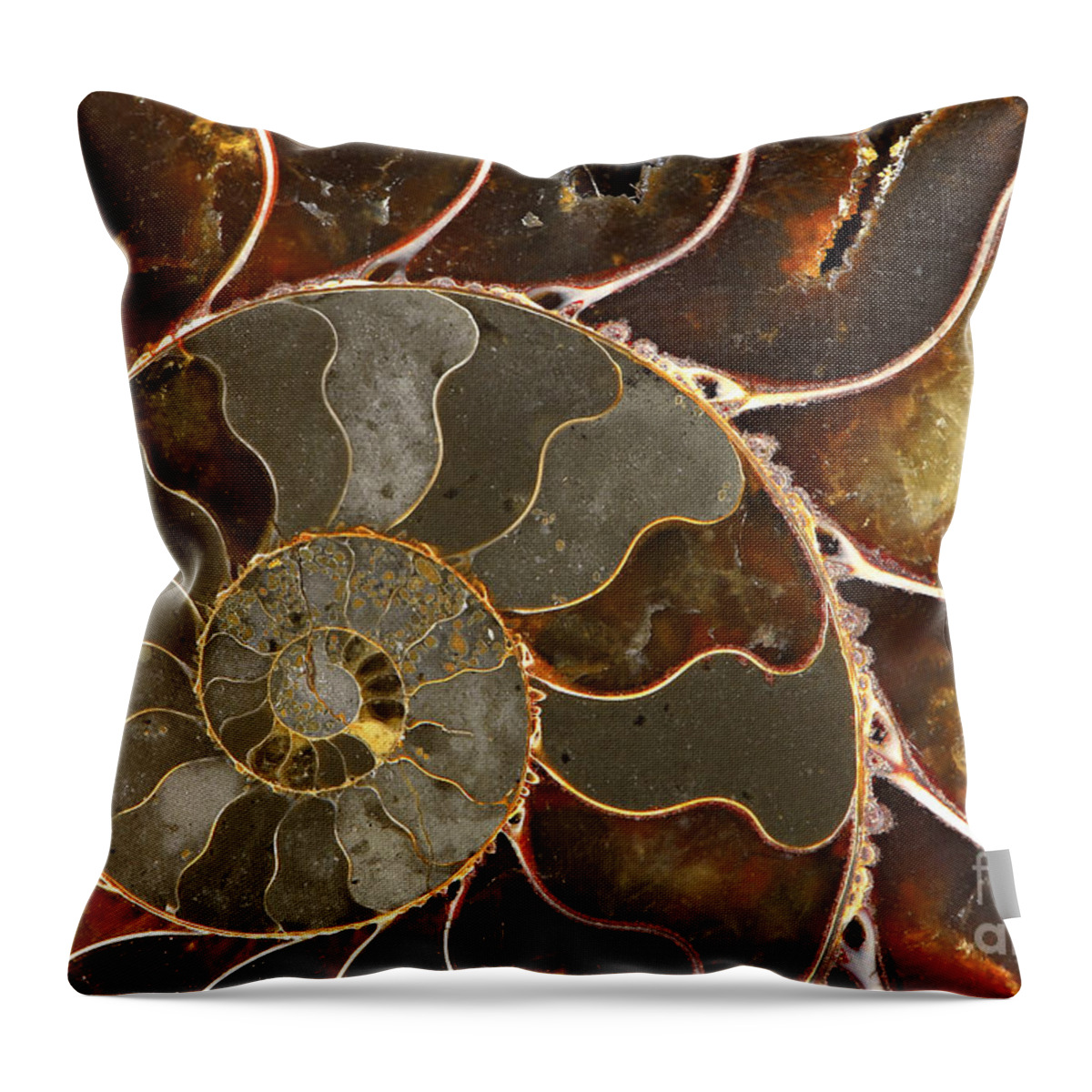 Shell Throw Pillow featuring the photograph Ammolite by Elena Elisseeva