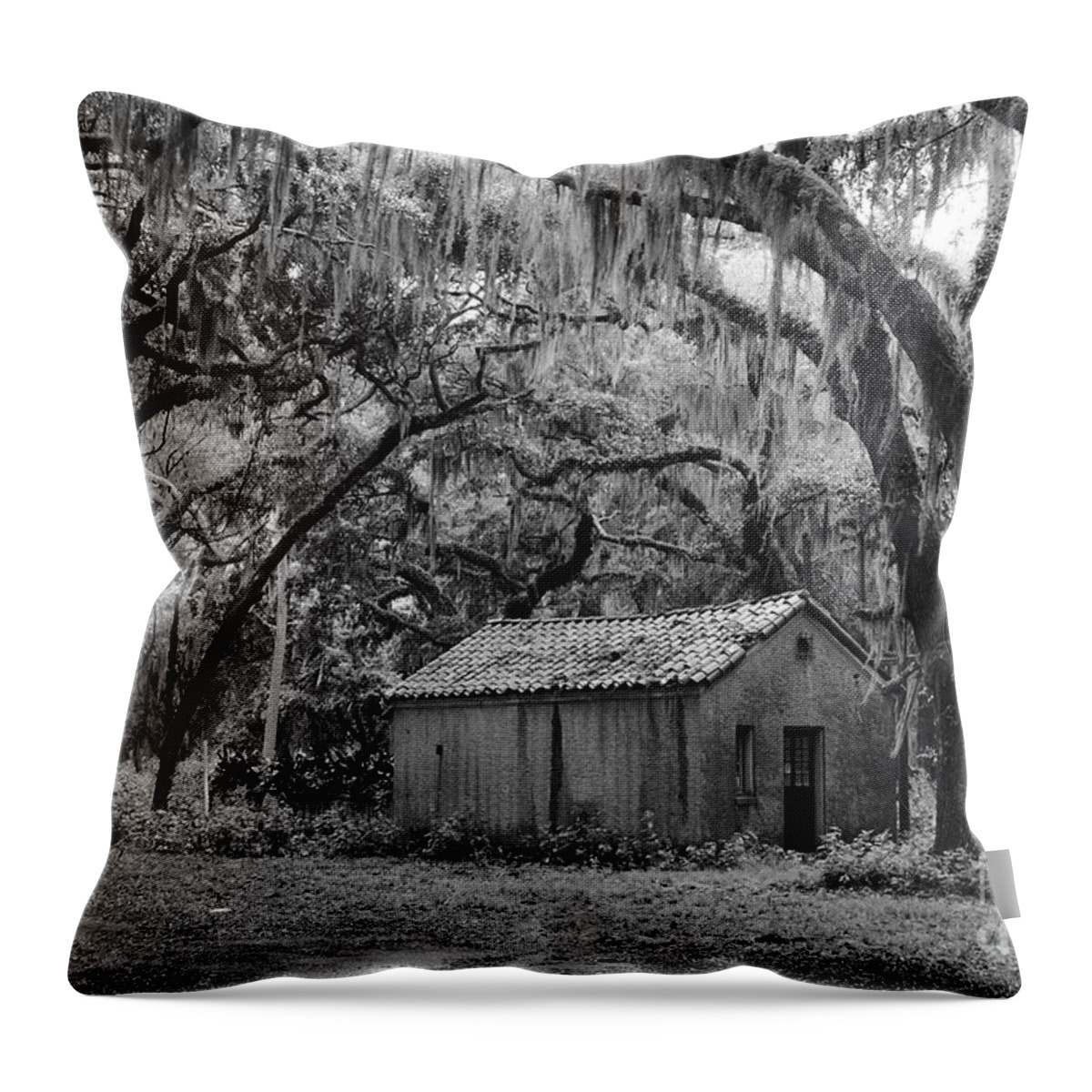 Live Throw Pillow featuring the photograph Amongst The Live Oaks by Andre Turner