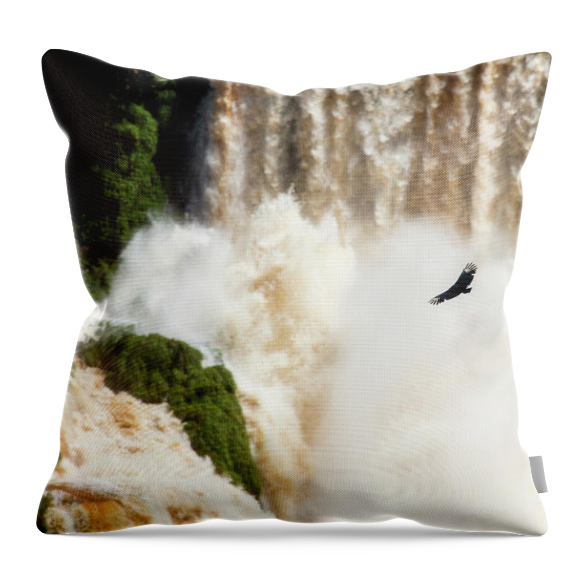 Color Image Throw Pillow featuring the photograph An American Black Vulture Flying by Raffi Maghdessian
