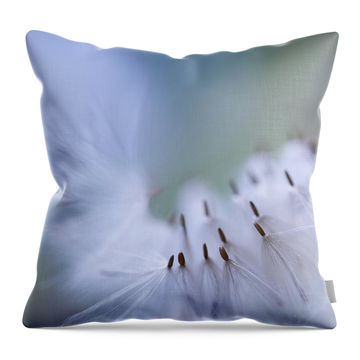 North Rhine Westphalia Throw Pillow featuring the photograph An Angel Passing By by Maria Rafaela Schulze-vorberg