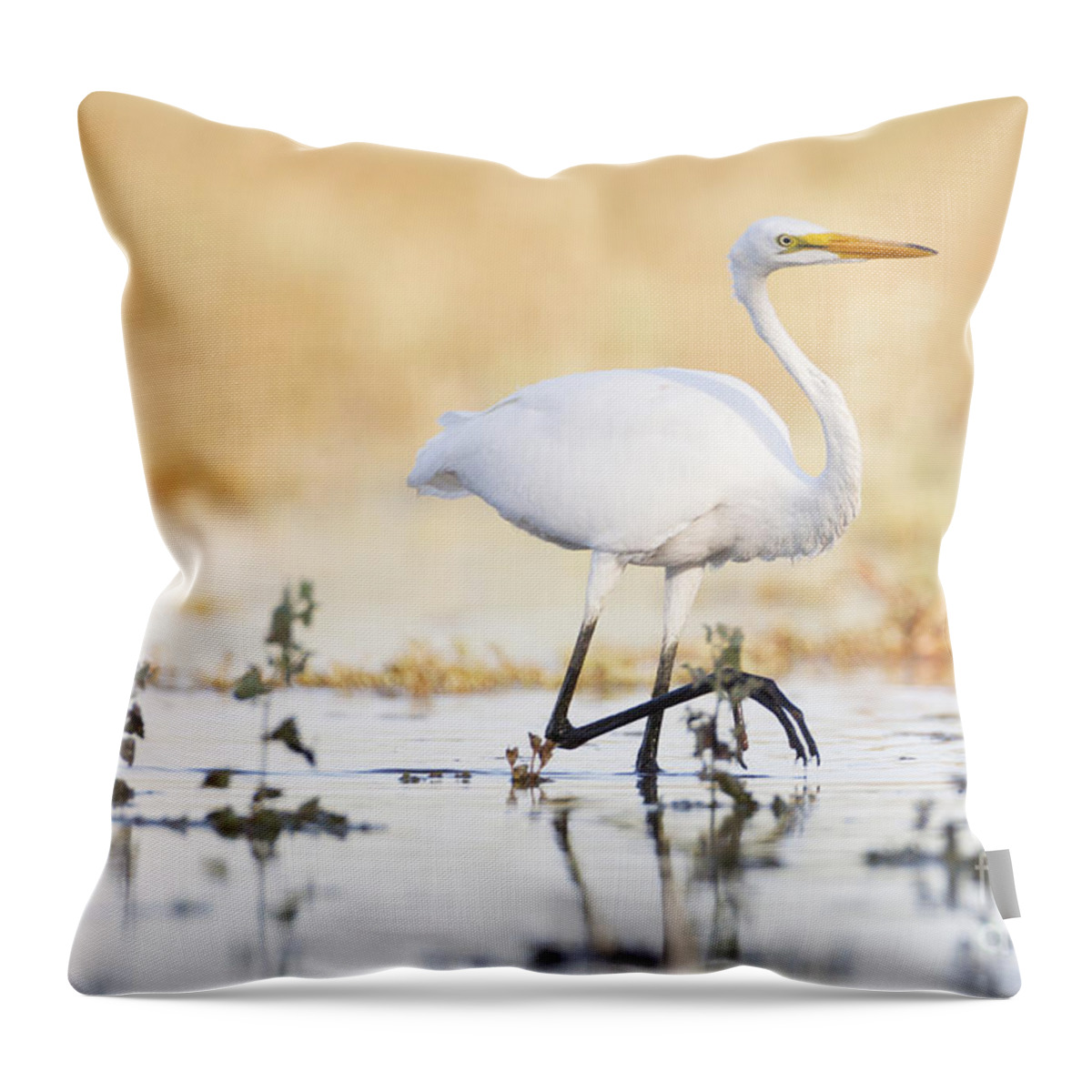 Egret Throw Pillow featuring the photograph An Egret at Sunset by Ruth Jolly