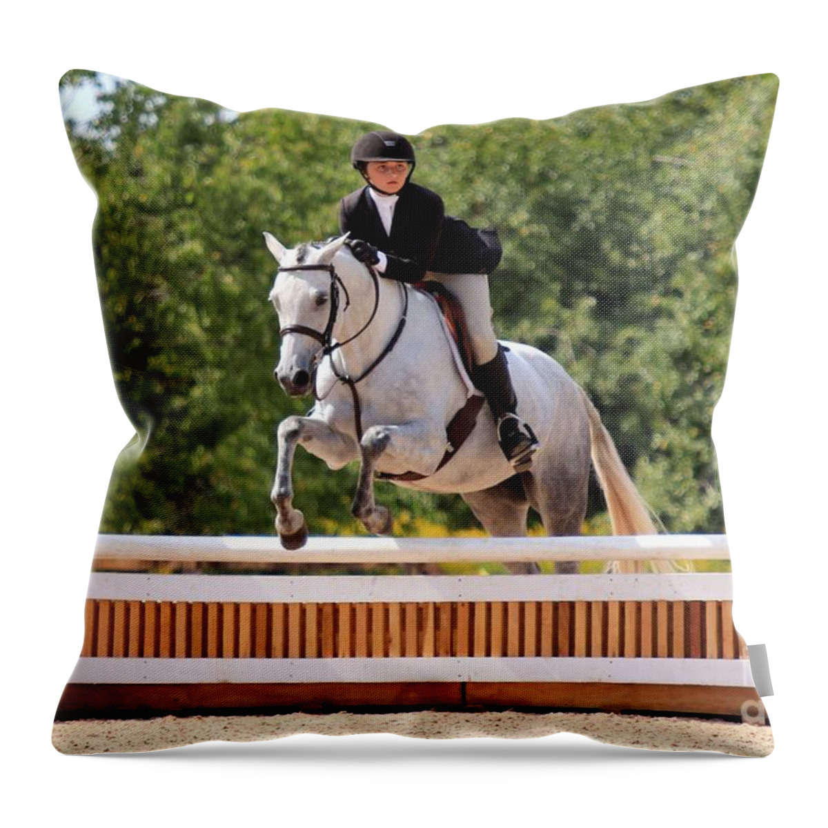 Horse Throw Pillow featuring the photograph An-f-hunter22 by Janice Byer