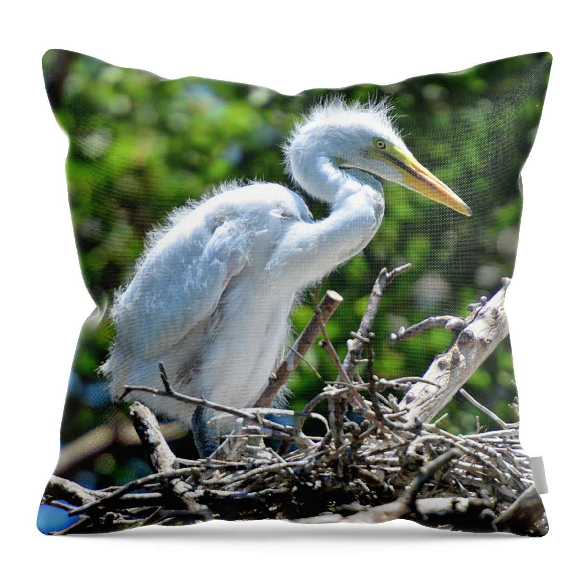 Animal Themes Throw Pillow featuring the photograph An Infant Egret In The Nest by Jeff R Clow