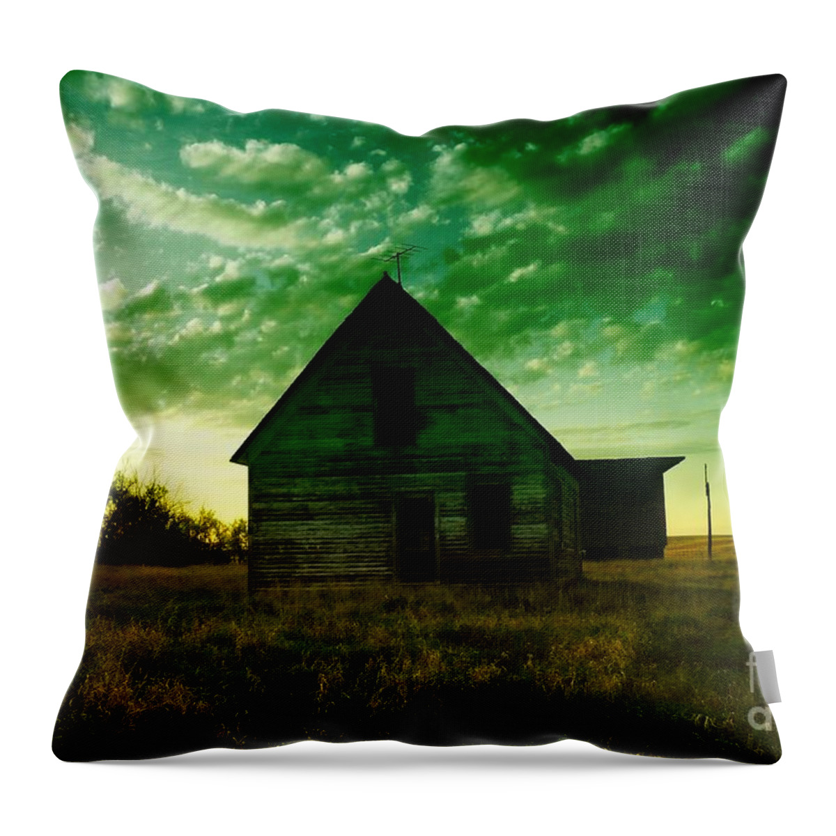 Houses Throw Pillow featuring the photograph An Old North Dakota Farm House by Jeff Swan