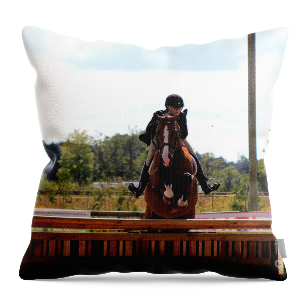 Horse Throw Pillow featuring the photograph An-su-hunter35 by Janice Byer