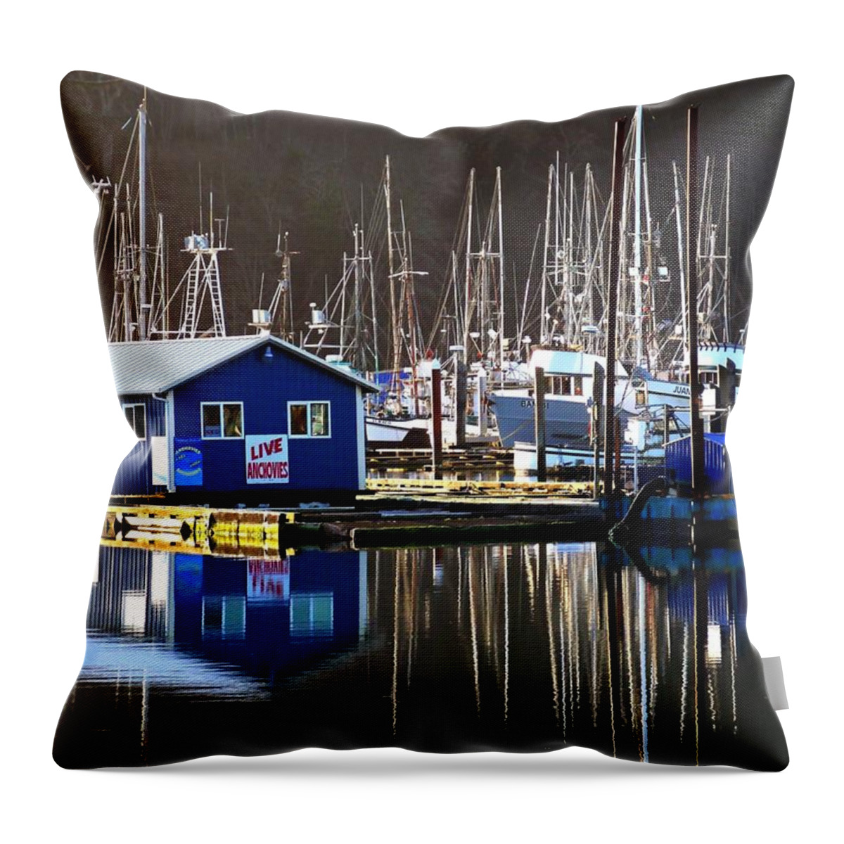 Fishing Throw Pillow featuring the photograph Anchovies for Sale by Pamela Patch