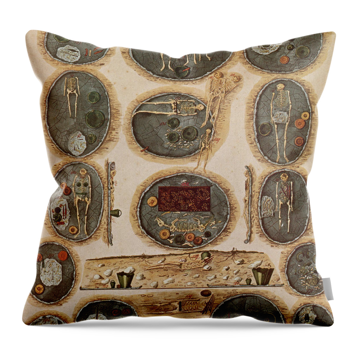Science Throw Pillow featuring the photograph Ancient Celtic Cemetery Hallstatt by Science Source