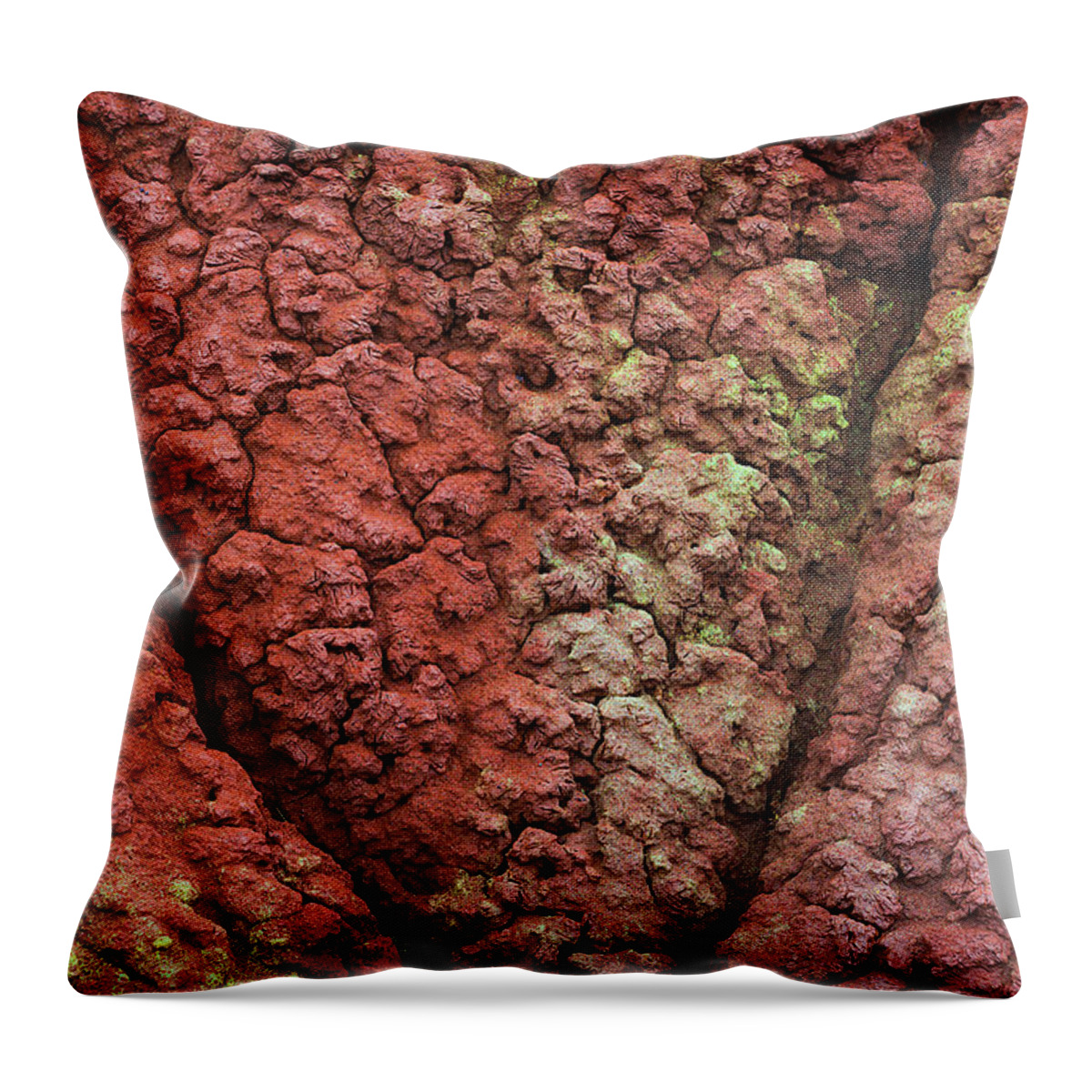 Painted Hills Throw Pillow featuring the photograph Ancient Clay and Mud by Ryan Manuel