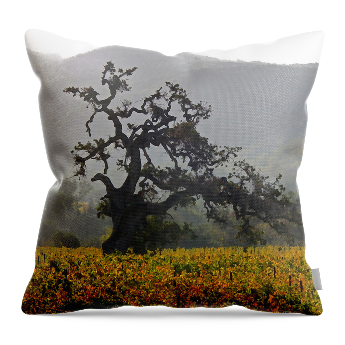 Flora Throw Pillow featuring the photograph Ancient Oak by Ann Nunziata