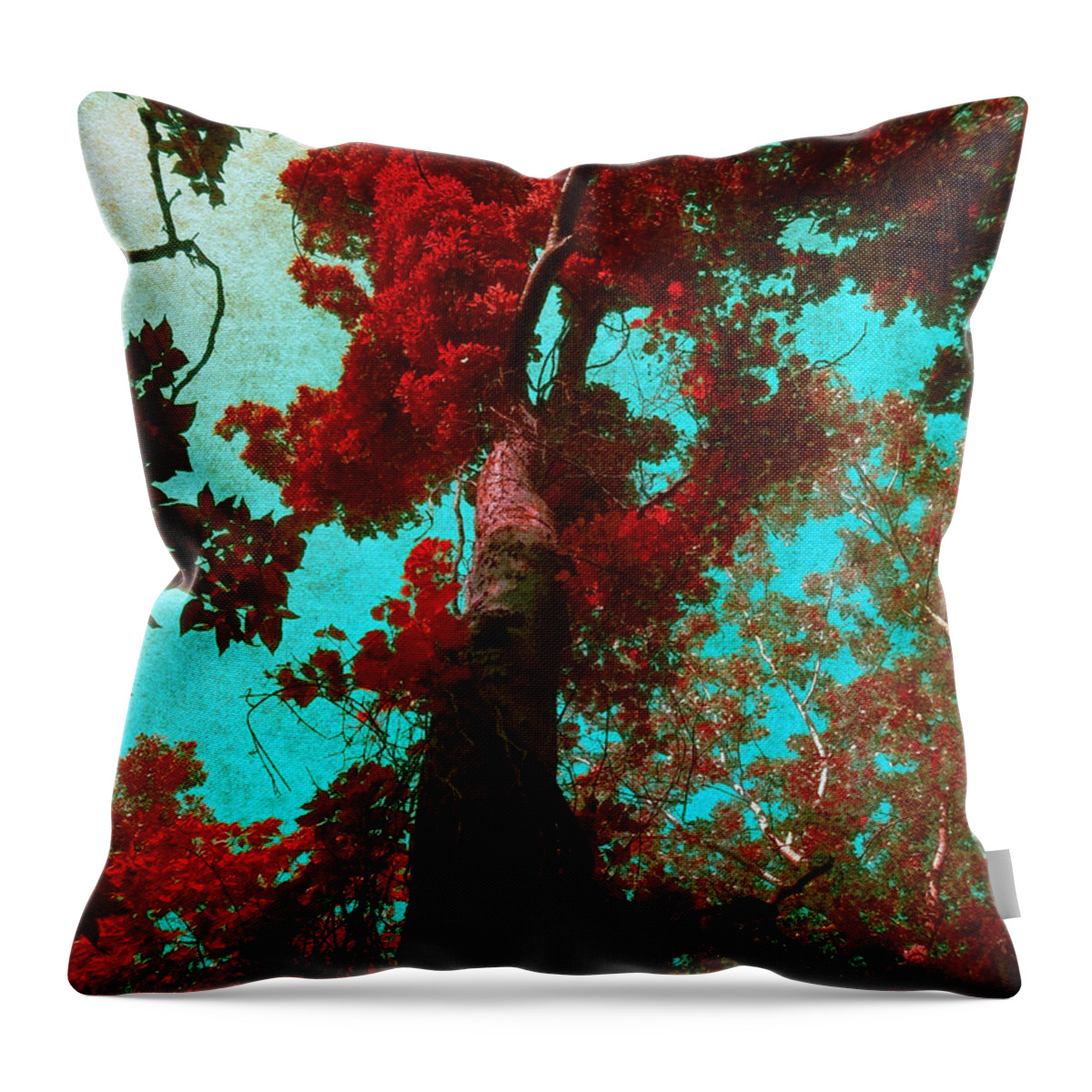 Tree Throw Pillow featuring the photograph Ancient One by Shawna Rowe