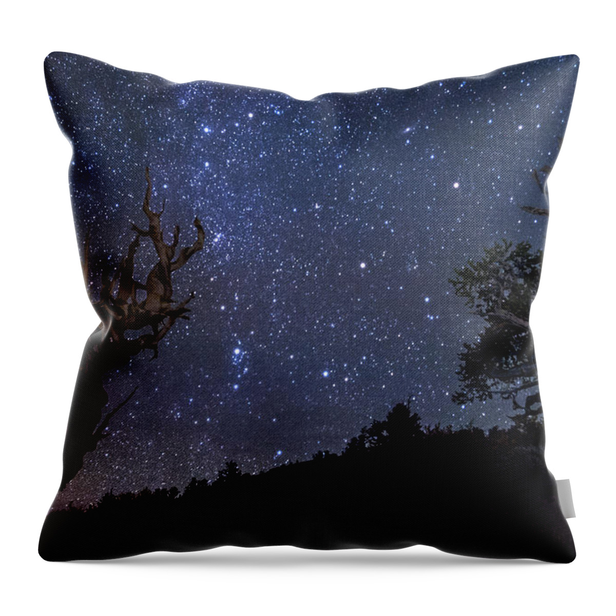 California Throw Pillow featuring the photograph Ancients by Cat Connor