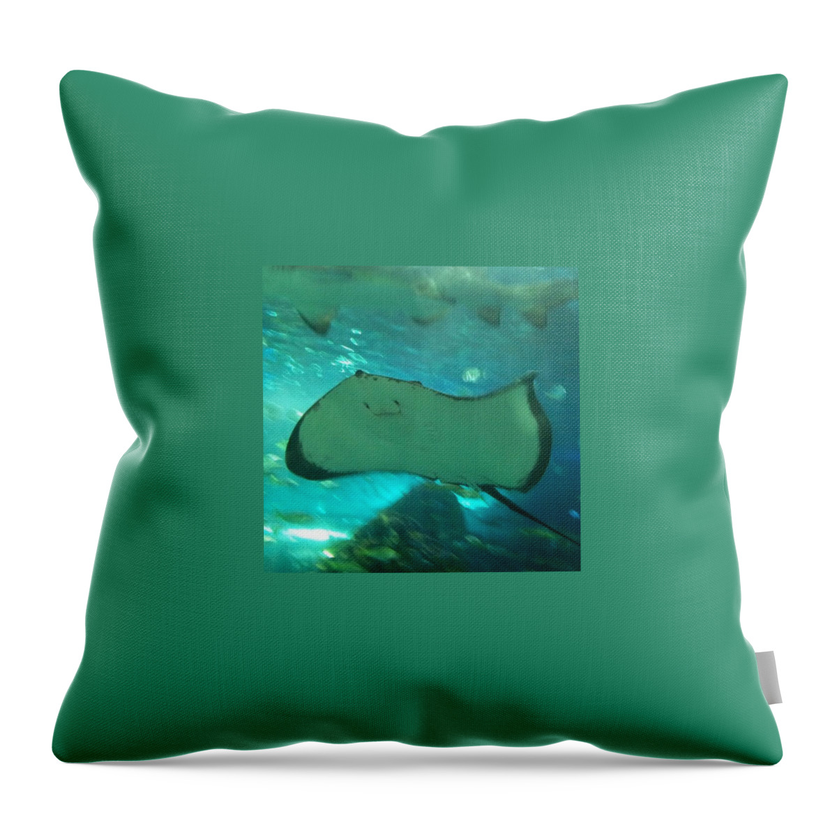 Fish Throw Pillow featuring the photograph Stingrays by Jennita Van Belle