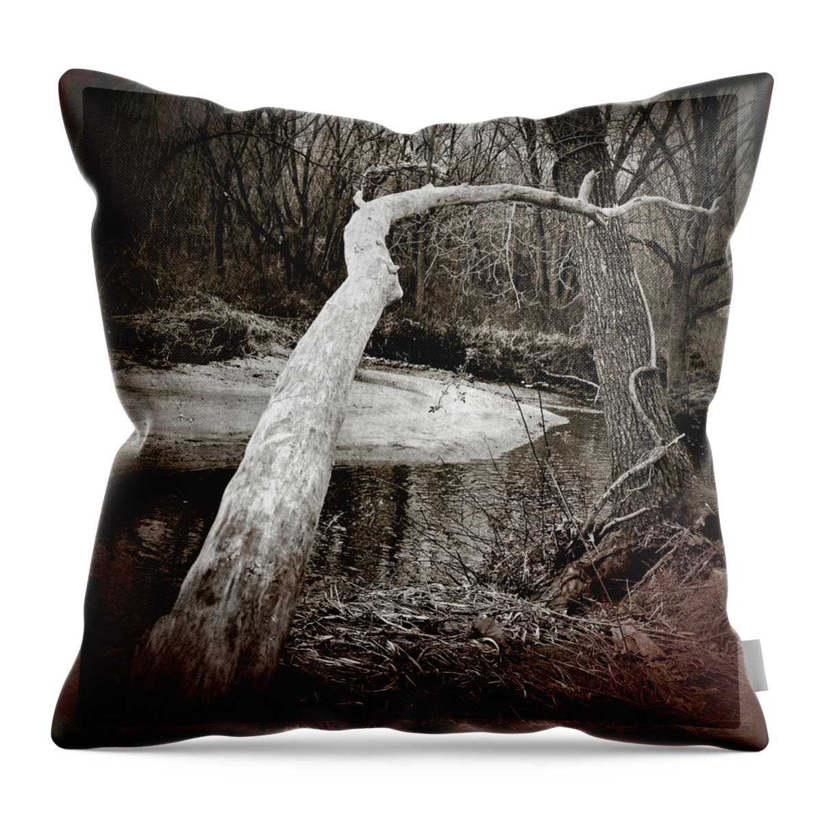 And The Rain Will Fall Throw Pillow featuring the photograph And the Rain Will Fall by Susan Maxwell Schmidt