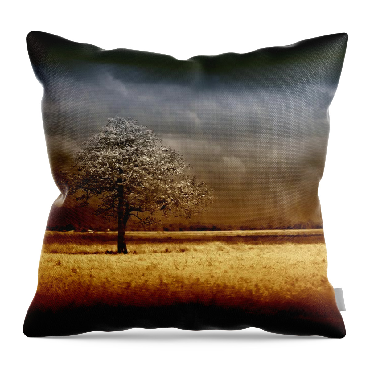 Landscapes Throw Pillow featuring the photograph And the rains came by Holly Kempe