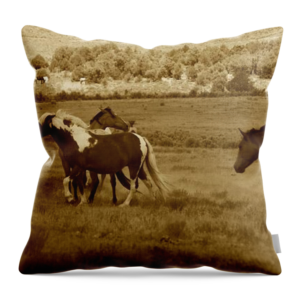 Horse Throw Pillow featuring the photograph And They Roam by Veronica Batterson