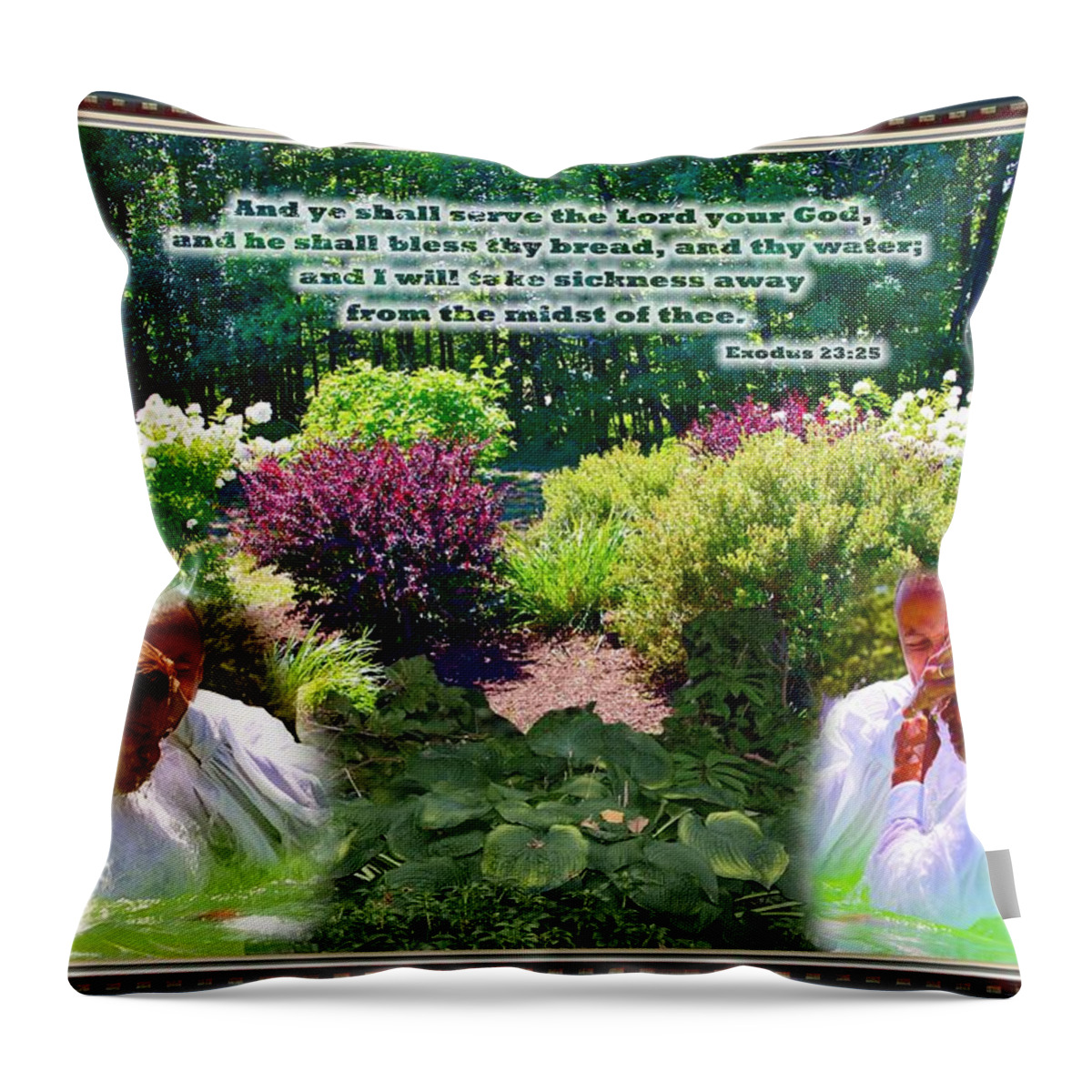 God's Natural Land Throw Pillow featuring the photograph And Ye Shall Serve The Lord - Framed by Terry Wallace