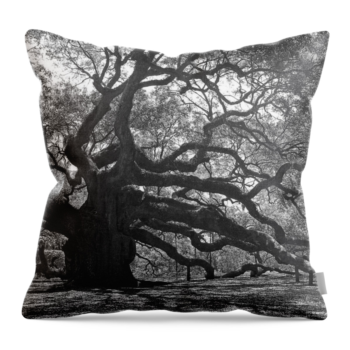 Black And White Throw Pillow featuring the photograph Angel Oak II - Black and White by Suzanne Gaff