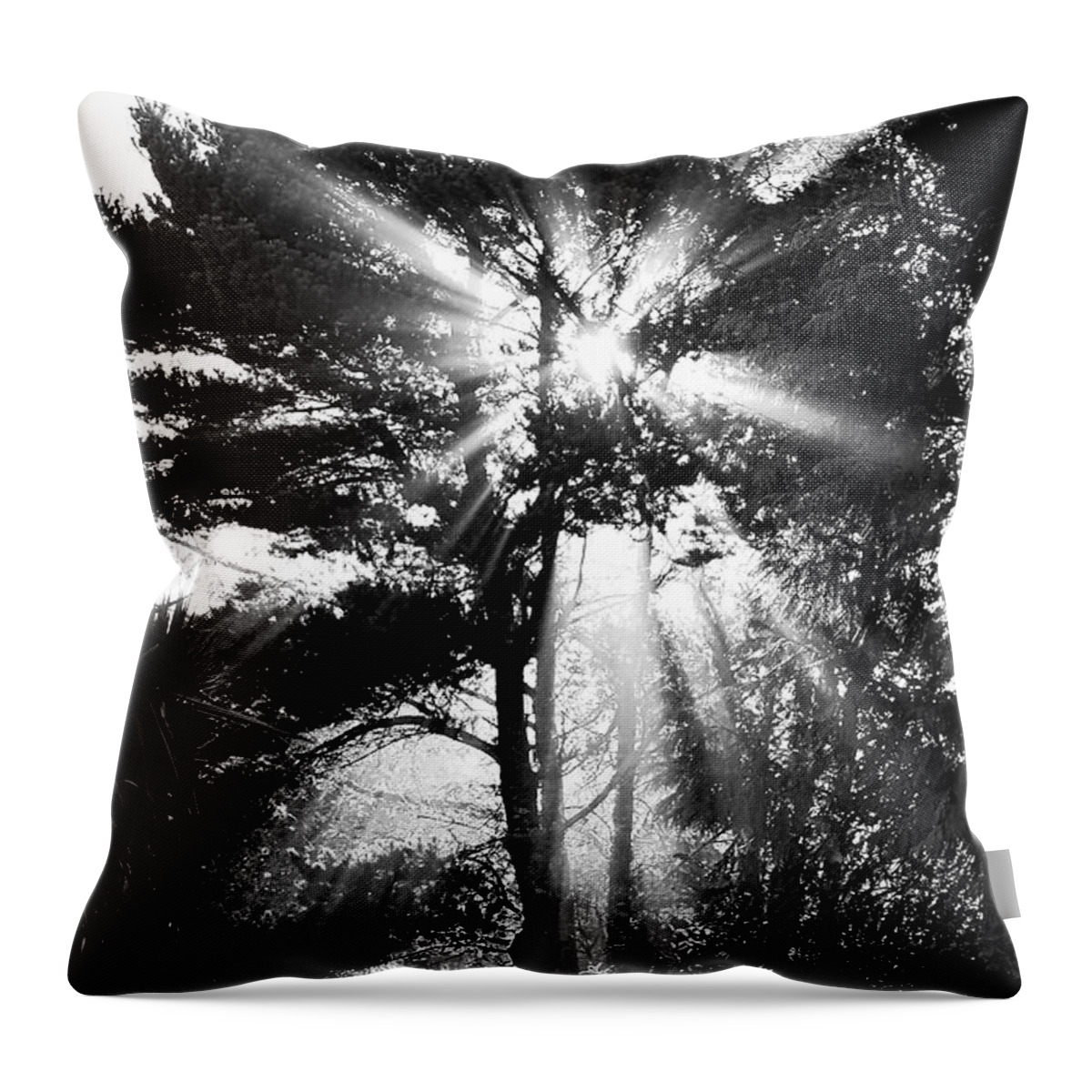 Sun Throw Pillow featuring the photograph Angel Sun by Loni Collins