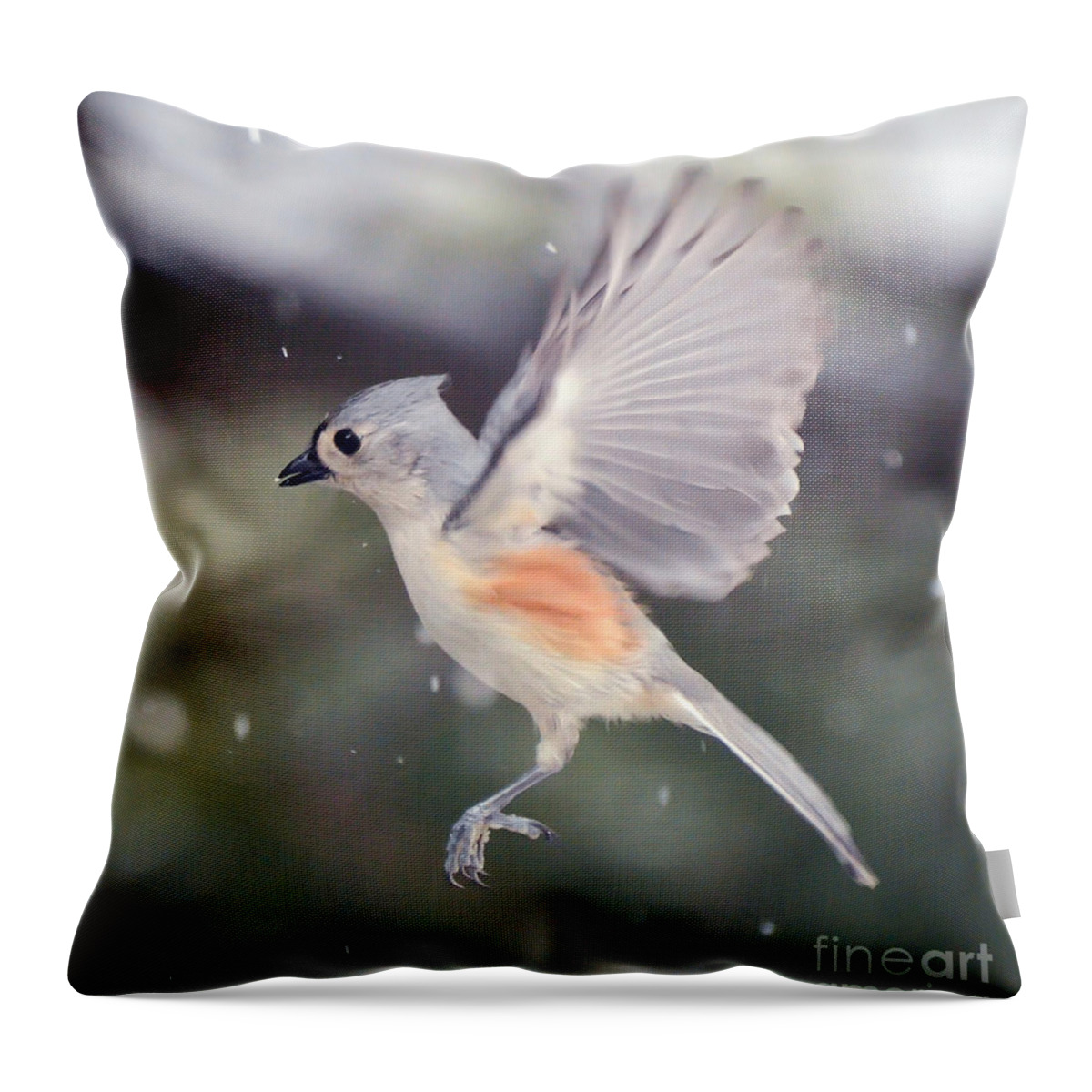 Tufted Titmouse Throw Pillow featuring the photograph Angel Wings by Kerri Farley