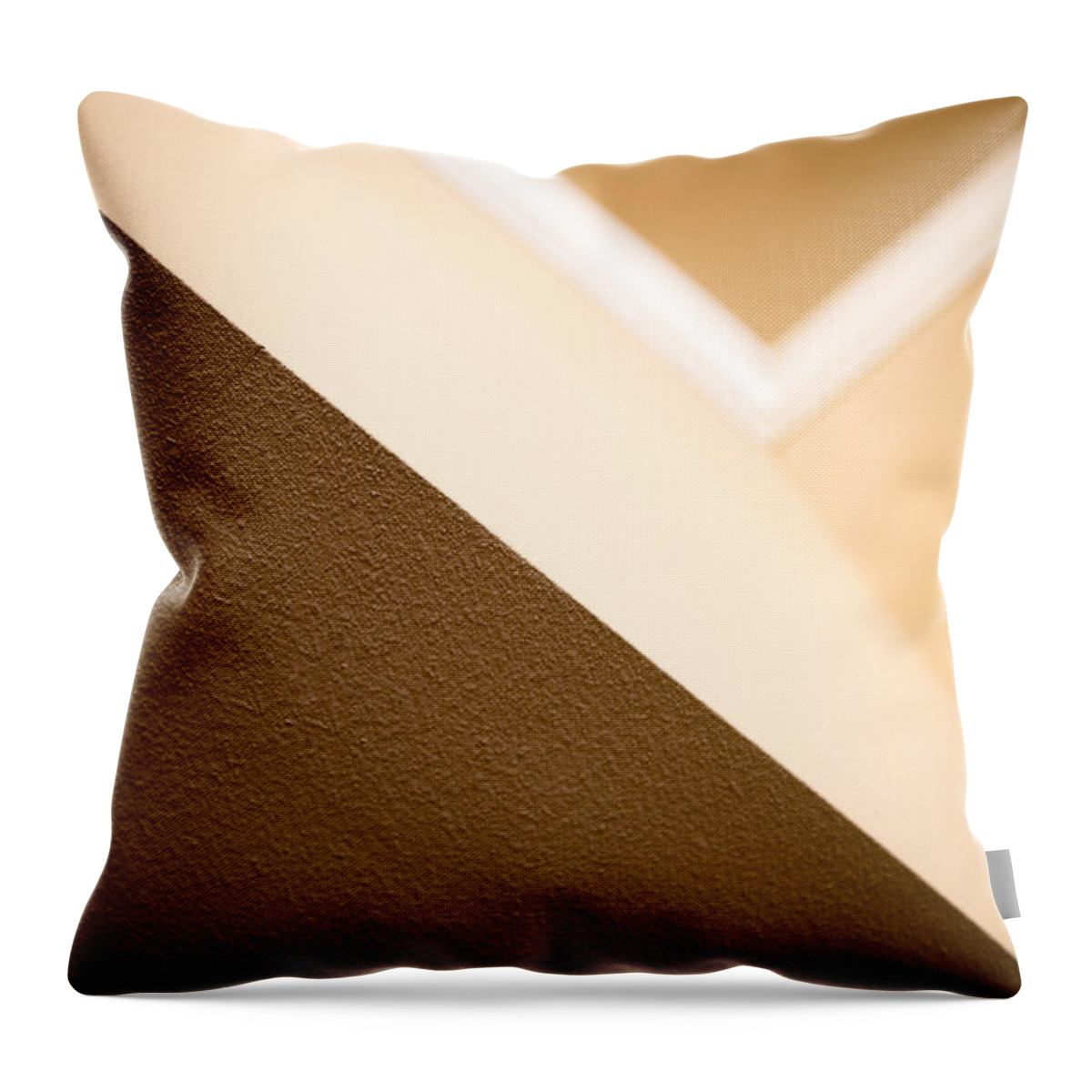 Art Throw Pillow featuring the photograph Angles by Darryl Dalton