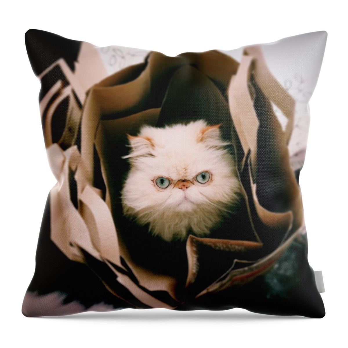 Pets Throw Pillow featuring the photograph Animal Eye Contact by Michael Lofenfeld Photography