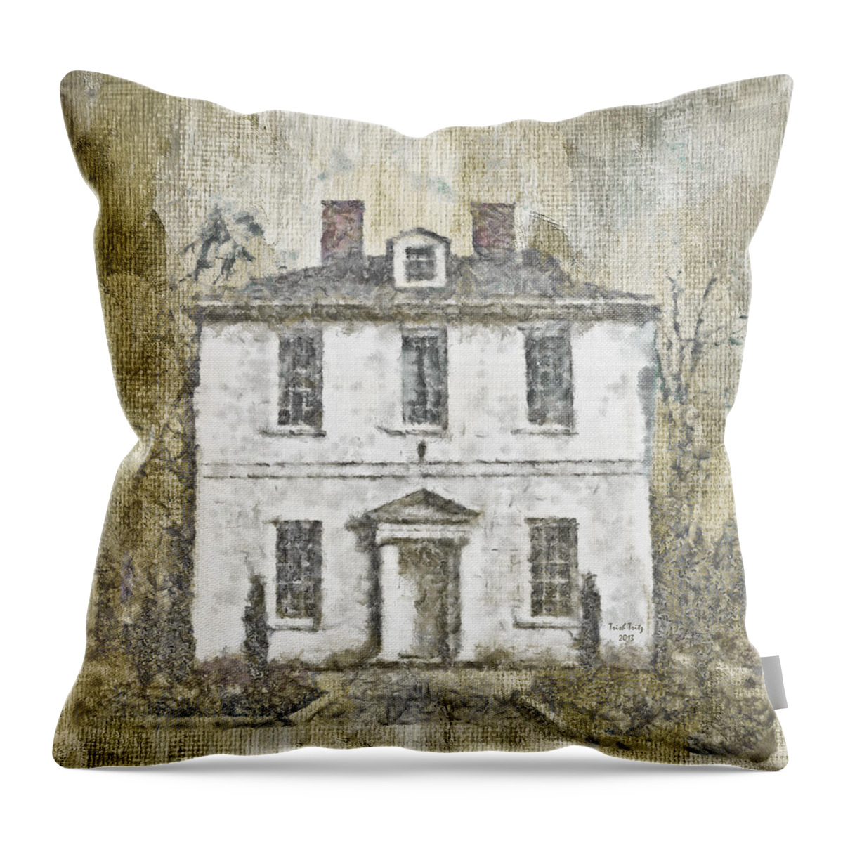 House Throw Pillow featuring the mixed media Animal House by Trish Tritz