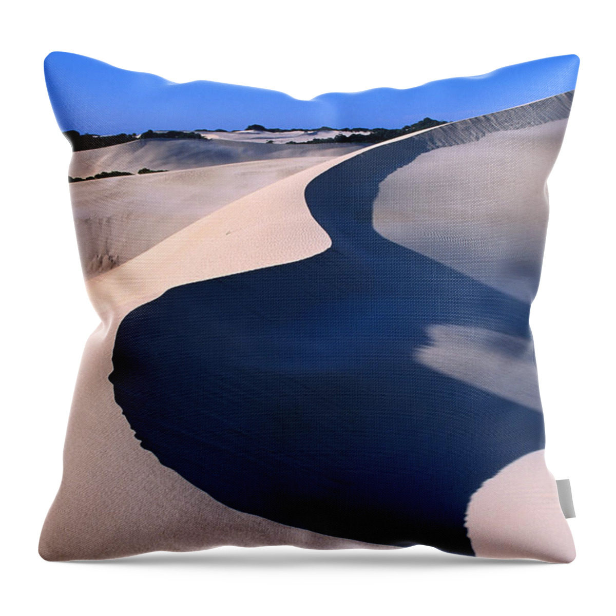 Kangaroo Island Throw Pillow featuring the photograph Animal Tracks In The Sand Of Little by John W Banagan