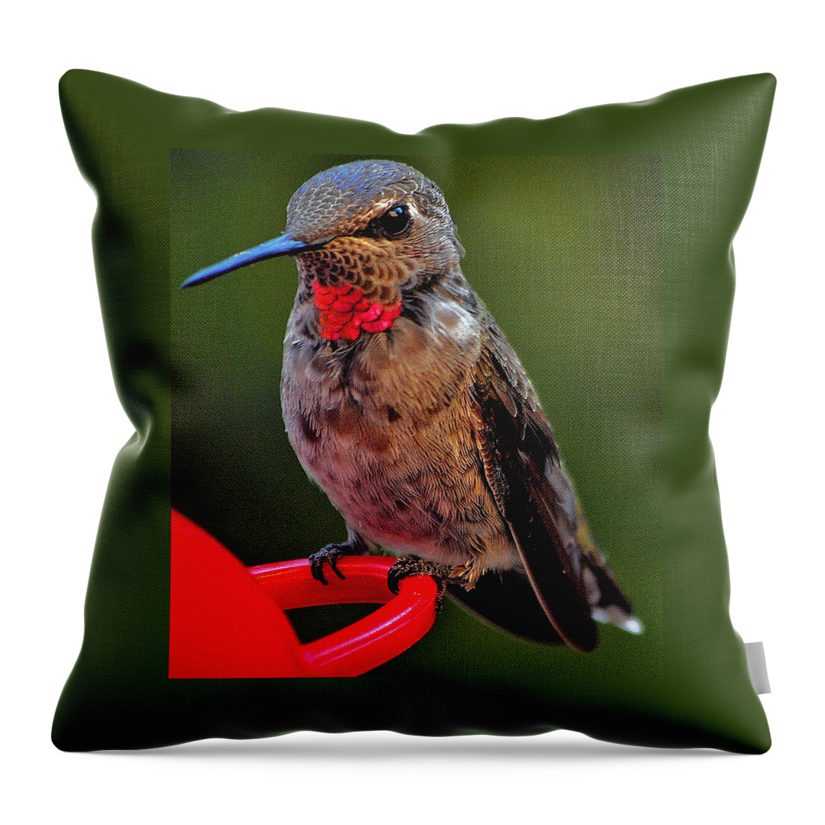 Hummingbird Throw Pillow featuring the photograph Anna's With Red Necklace by Jay Milo