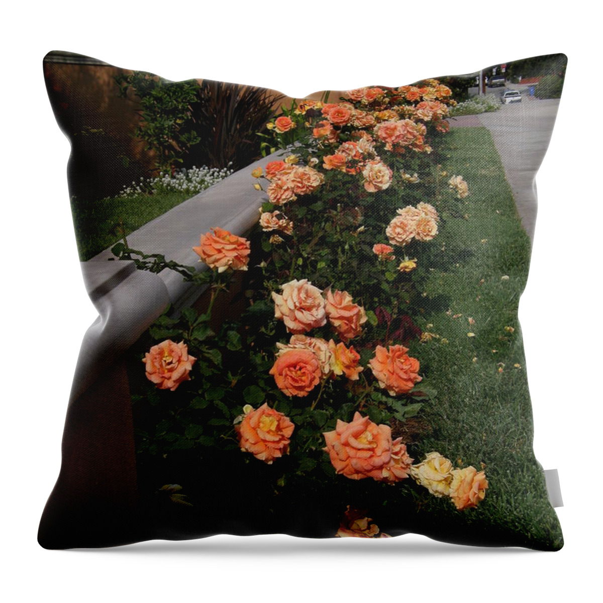 Coral Roses Throw Pillow featuring the photograph Annie's Roses by Bev Conover