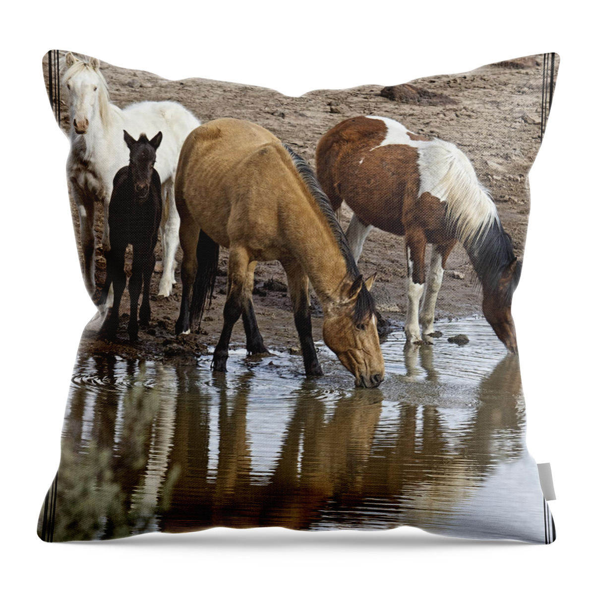 Another At The Watering Hole Throw Pillow featuring the photograph Another At The Watering Hole by Wes and Dotty Weber