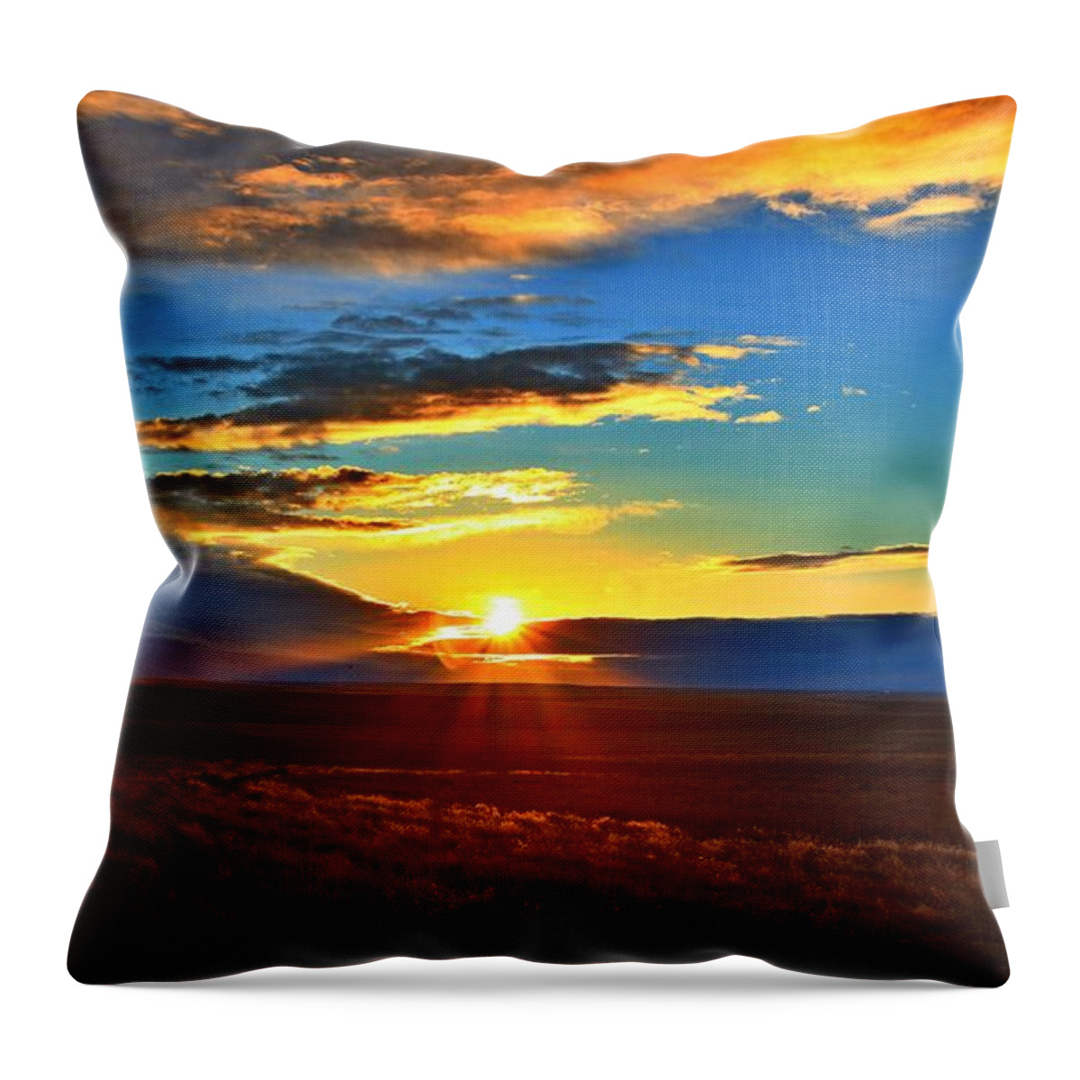 Sun Throw Pillow featuring the photograph Good morning on the Horse Heaven by Lynn Hopwood