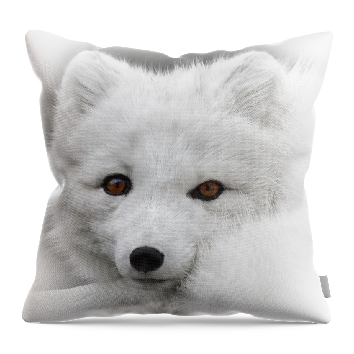 Another Oh Those Eyes Throw Pillow featuring the photograph Another Oh Those Eyes by Wes and Dotty Weber