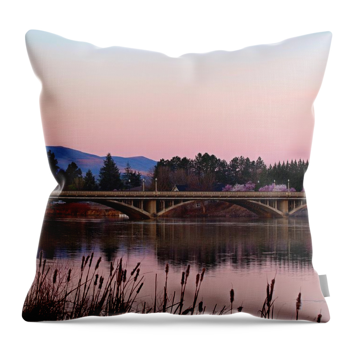 Pink Skies Throw Pillow featuring the photograph Another pink morning by Lynn Hopwood