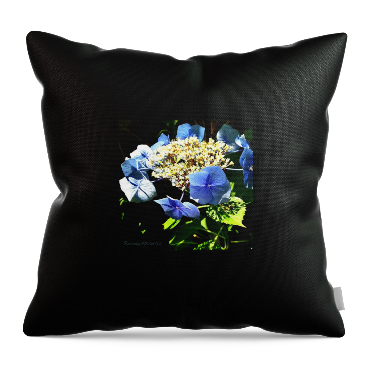 Iphone5 Throw Pillow featuring the photograph Another Variety Of Blue Hydrangea In My by Anna Porter
